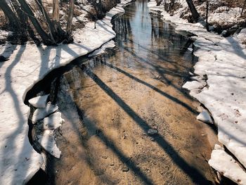 High angle view of frozen trees on land