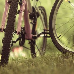 Close-up of wheel on grassy field