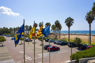 Palm trees on beach against blue sky