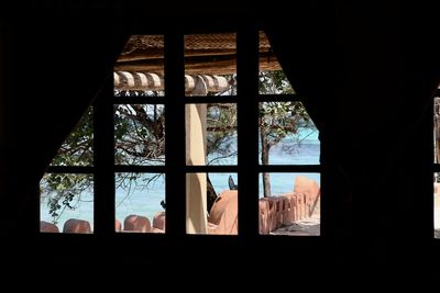 Silhouette trees seen through window of building