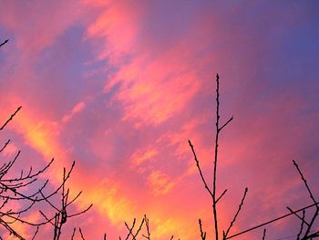 Silhouette tree against sky during sunset