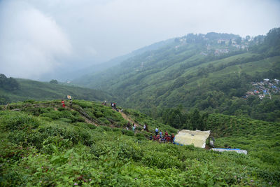 Scenic view of ftea estate against sky