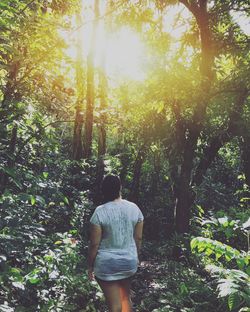 Rear view of man standing in forest