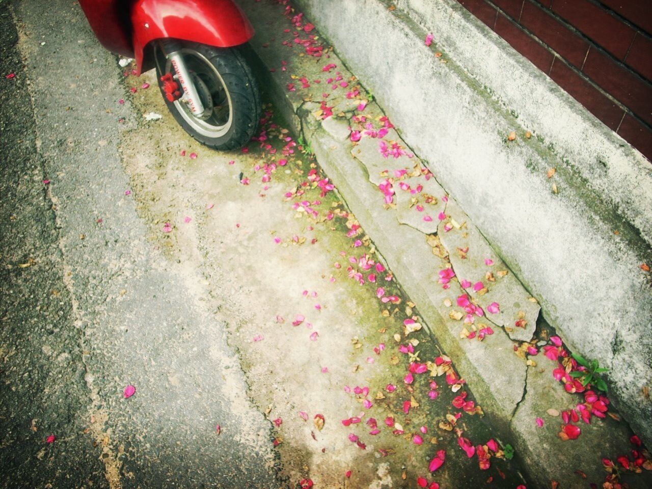 high angle view, transportation, red, street, mode of transport, outdoors, land vehicle, day, no people, sunlight, pink color, sidewalk, stationary, car, close-up, road, abandoned, asphalt, ground, wheel