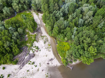 High angle view of river flowing amidst trees in forest