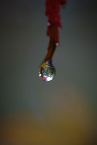 Close-up of water drop hanging in mid-air