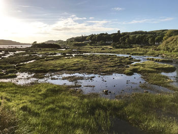 Scenic view of landscape against sky