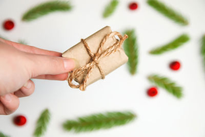 Close-up of hand holding plant against white background