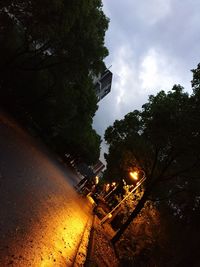 View of trees at sunset