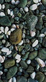 Full frame shot of pebbles