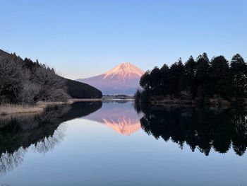 Scenic view of lake by trees against clear sky