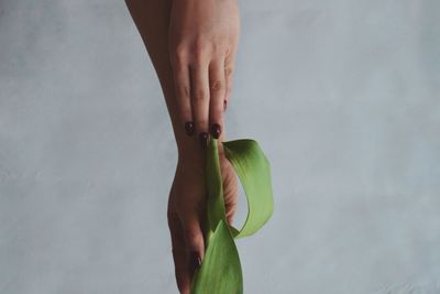 Close-up of hand holding leaf