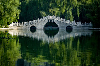 Bridge over river against trees