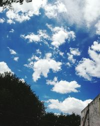 Low angle view of trees against blue sky