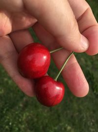 Close-up of hand holding strawberry