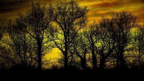 Silhouette trees against sky during sunset