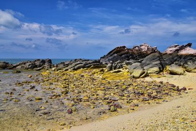 Island ocean tropical forest views near phi phi, ko rang yai, ko li pe phuket thailand asia.