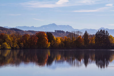 Reflection of trees in lake