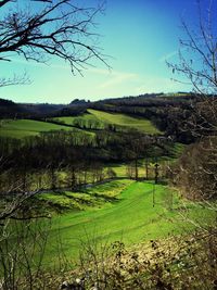 Scenic view of landscape against clear sky