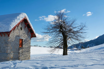 Mountain cottage made of stone with a roof full of snow and a nearby tree