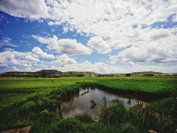 Scenic view of field against sky