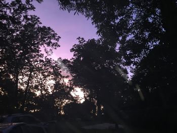 Low angle view of silhouette trees against sky at night