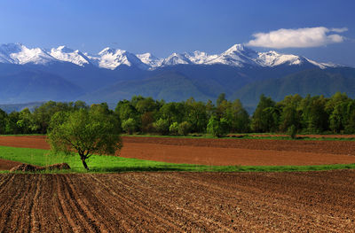 Scenic view of field and mountains against sky