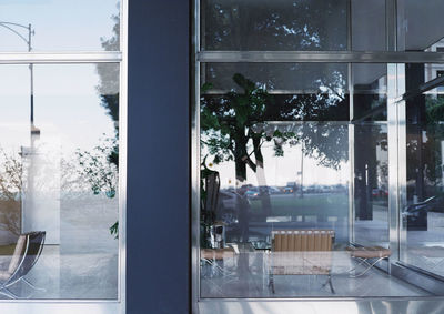 Reflection of trees on glass window of building