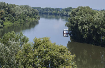 Pristine riverbank, trees, and their reflection. tisza river in hungary, europe. tokaj wine region. 
