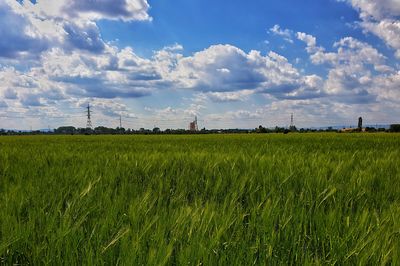 Scenic view of agricultural field against sky