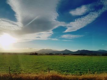 Scenic view of field against sky