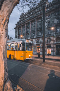 Illuminated street by buildings in city