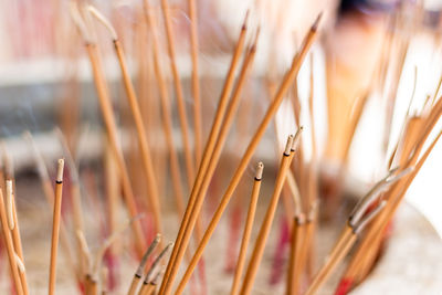 Close-up of wheat growing on field