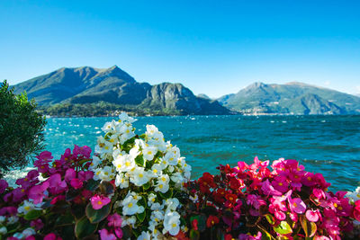 Scenic view of sea by mountain against blue sky