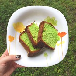 Cropped image of woman holding plate with slices of pandan cake