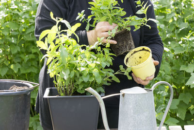 Close-up of man holding food on plant