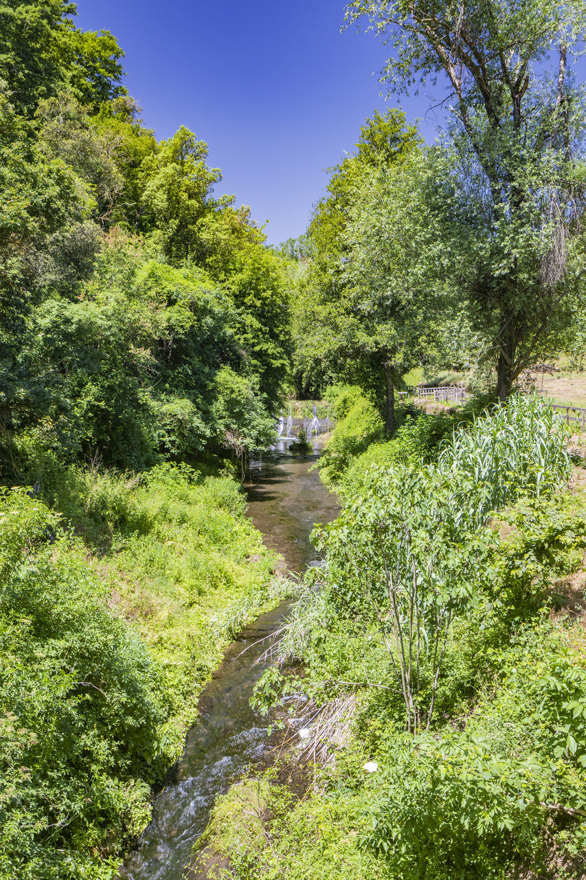 plant, tree, nature, green, beauty in nature, growth, woodland, no people, flower, sky, scenics - nature, day, tranquility, land, water, garden, vegetation, tranquil scene, stream, sunlight, environment, outdoors, landscape, footpath, trail, non-urban scene, river, forest, foliage, lush foliage, clear sky, grass, sunny, meadow