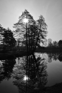 Silhouette trees by lake against sky