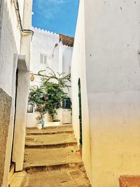 Narrow alley amidst buildings