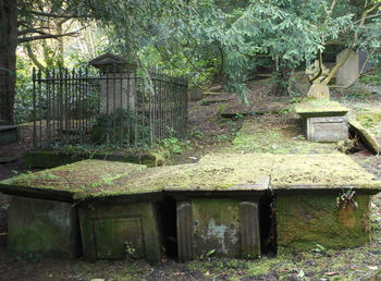 Built structure with trees in background