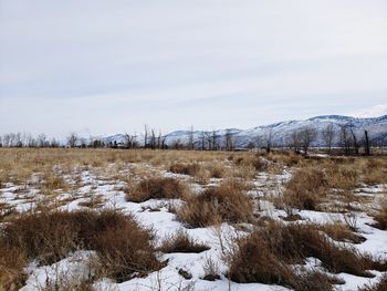 Snow covered field against sky