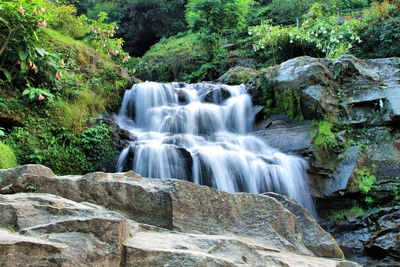 View of waterfall in forest