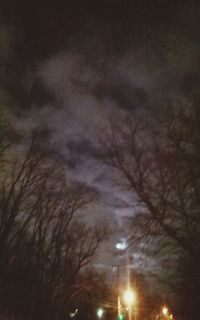 Low angle view of bare trees against sky at night