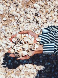 High angle view of person hand holding pebbles