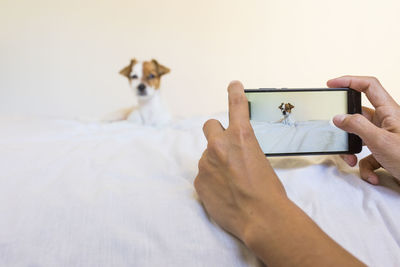 Midsection of a man holding dog