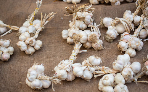 High angle view of white garlic