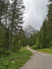 Road amidst trees and mountains against sky