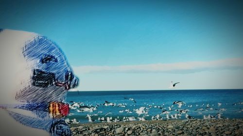 View of birds on beach against blue sky