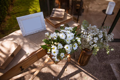 High angle view of potted plant on table