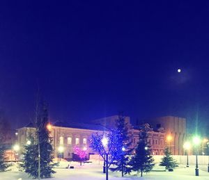 Illuminated christmas tree at night